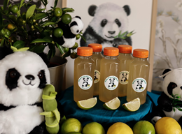 Lemoniada Panda 250ml